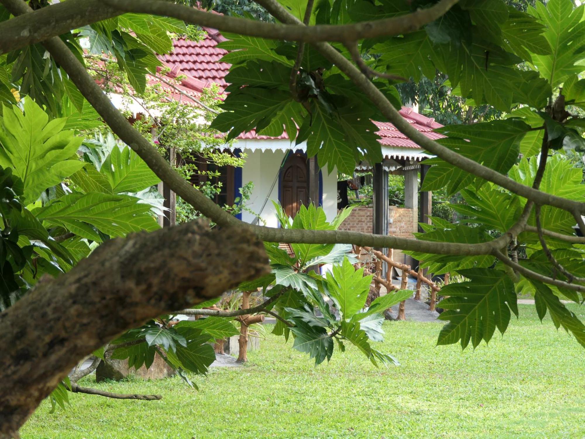 Subodinee * Weligama